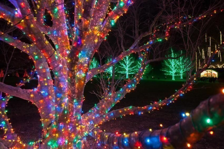 Морозостойкая гирлянда нить уличная 10 метров мерцающая разноцветная