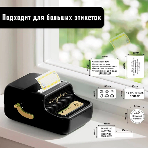 Принтер для этикеток / Термопринтер niimbot B-21 