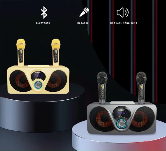 bluetooth караоке система SDRD SD-312 с беспроводными перезаряжаемыми микрофонами / колонка + 2 микрофона