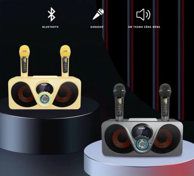 bluetooth караоке система SDRD SD-312 с беспроводными перезаряжаемыми микрофонами / колонка + 2 микрофона