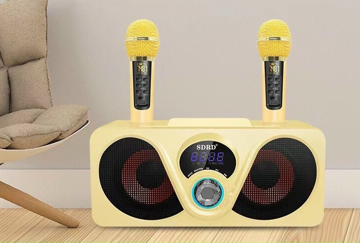 bluetooth караоке система SDRD SD-312 с беспроводными перезаряжаемыми микрофонами / колонка + 2 микрофона