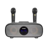 bluetooth караоке система SDRD SD-316 с беспроводными микрофонами / колонка + 2 микрофона