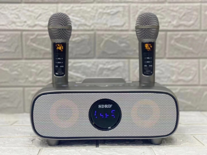bluetooth караоке система SDRD SD-316 с беспроводными микрофонами / колонка + 2 микрофона