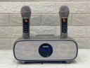 bluetooth караоке система SDRD SD-316 с беспроводными микрофонами / колонка + 2 микрофона