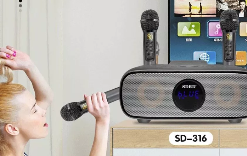 bluetooth караоке система SDRD SD-316 с беспроводными микрофонами / колонка + 2 микрофона