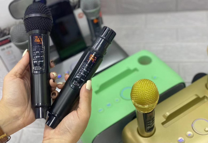 bluetooth караоке система SDRD SD-316 с беспроводными микрофонами / колонка + 2 микрофона