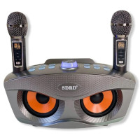 Bluetooth Караоке система с двумя микрофонами SDRD SD-306 Plus / караоке колонка Сова плюс 2 микрофона