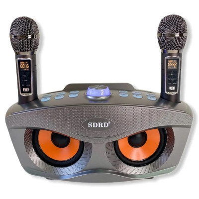 Bluetooth Караоке система с двумя микрофонами SDRD SD-306 Plus / караоке колонка Сова плюс 2 микрофона