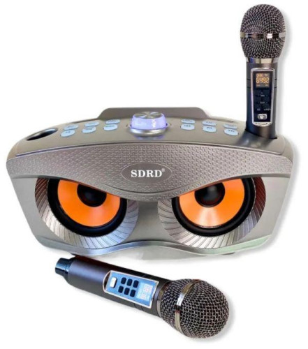 Bluetooth Караоке система с двумя микрофонами SDRD SD-306 Plus / караоке колонка Сова плюс 2 микрофона