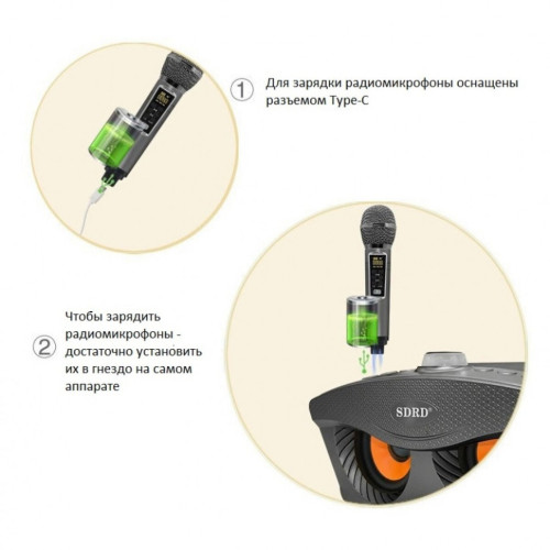 Bluetooth Караоке система с двумя микрофонами SDRD SD-306 Plus / караоке колонка Сова плюс 2 микрофона