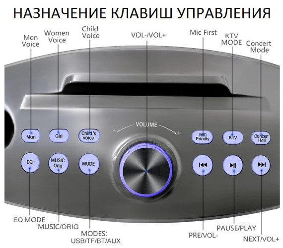 Bluetooth Караоке система с двумя микрофонами SDRD SD-306 Plus / караоке колонка Сова плюс 2 микрофона