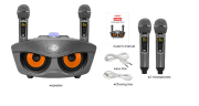Bluetooth Караоке система с двумя микрофонами SDRD SD-306 Plus / караоке колонка Сова плюс 2 микрофона