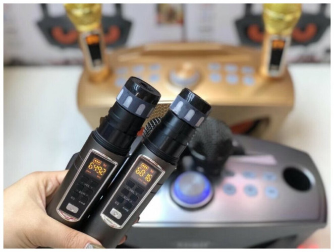 Bluetooth Караоке система с двумя микрофонами SDRD SD-306 Plus / караоке колонка Сова плюс 2 микрофона