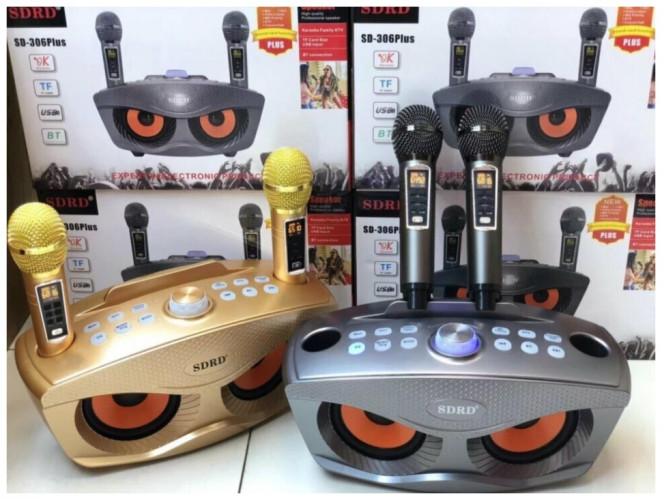 Bluetooth Караоке система с двумя микрофонами SDRD SD-306 Plus / караоке колонка Сова плюс 2 микрофона
