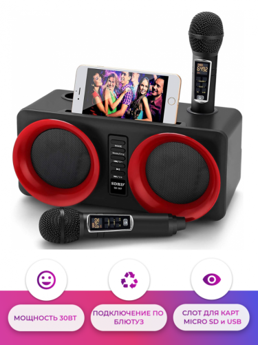 SDRD SD-307 bluetooth колонка караоке с беспроводными перезаряжаемыми микрофонами / колонка + 2 микрофона