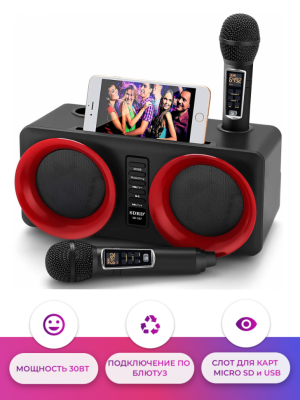 SDRD SD-307 bluetooth колонка караоке с беспроводными перезаряжаемыми микрофонами / колонка + 2 микрофона