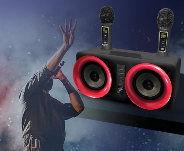 SDRD SD-307 bluetooth колонка караоке с беспроводными перезаряжаемыми микрофонами / колонка + 2 микрофона