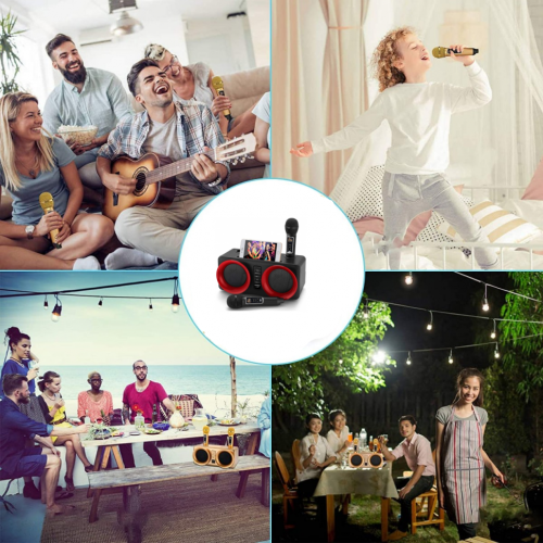 SDRD SD-307 bluetooth колонка караоке с беспроводными перезаряжаемыми микрофонами / колонка + 2 микрофона