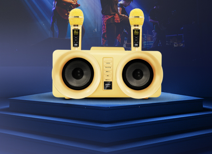 SDRD SD-307 bluetooth колонка караоке с беспроводными перезаряжаемыми микрофонами / колонка + 2 микрофона