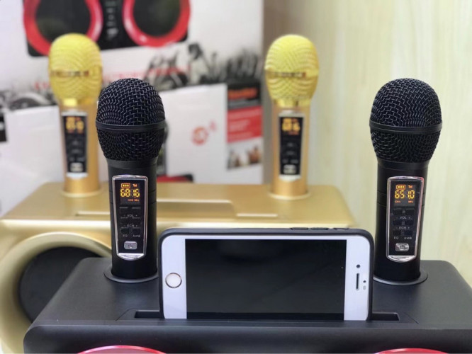 SDRD SD-307 bluetooth колонка караоке с беспроводными перезаряжаемыми микрофонами / колонка + 2 микрофона