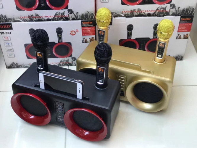 SDRD SD-307 bluetooth колонка караоке с беспроводными перезаряжаемыми микрофонами / колонка + 2 микрофона