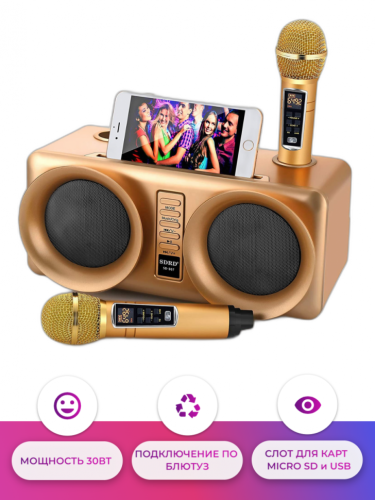 SDRD SD-307 bluetooth колонка караоке с беспроводными перезаряжаемыми микрофонами / колонка + 2 микрофона