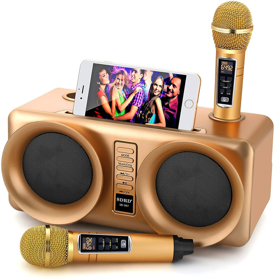 Караоке система для дома с микрофонами. Караоке Sdrd SD-307. Sdrd SD-303 - Bluetooth колонка-караоке с беспроводными микрофонами. Колонка караоке. Портативная колонка с микрофоном для караоке