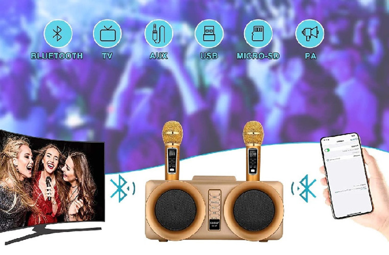 SDRD SD-307 bluetooth колонка караоке с беспроводными перезаряжаемыми микрофонами / колонка + 2 микрофона