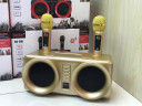 SDRD SD-307 bluetooth колонка караоке с беспроводными перезаряжаемыми микрофонами / колонка + 2 микрофона