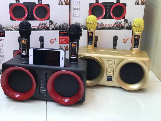 SDRD SD-307 bluetooth колонка караоке с беспроводными перезаряжаемыми микрофонами / колонка + 2 микрофона