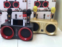 SDRD SD-307 bluetooth колонка караоке с беспроводными перезаряжаемыми микрофонами / колонка + 2 микрофона