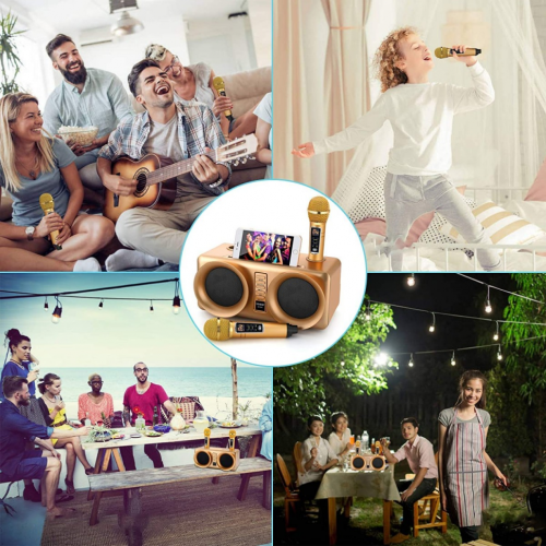 SDRD SD-307 bluetooth колонка караоке с беспроводными перезаряжаемыми микрофонами / колонка + 2 микрофона