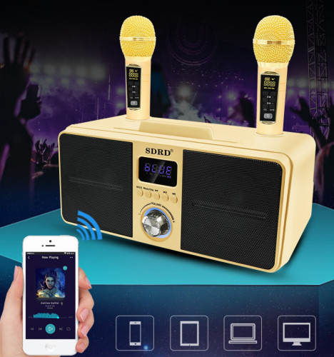 SDRD SD-309 караоке система bluetooth с беспроводными перезаряжаемыми микрофонами / колонка + 2 микрофона