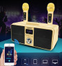 SDRD SD-309 караоке система bluetooth с беспроводными перезаряжаемыми микрофонами / колонка + 2 микрофона