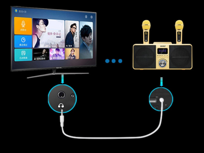 SDRD SD-309 караоке система bluetooth с беспроводными перезаряжаемыми микрофонами / колонка + 2 микрофона