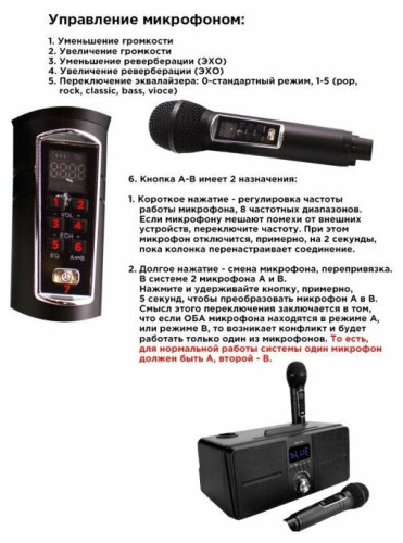 SDRD SD-309 караоке система bluetooth с беспроводными перезаряжаемыми микрофонами / колонка + 2 микрофона