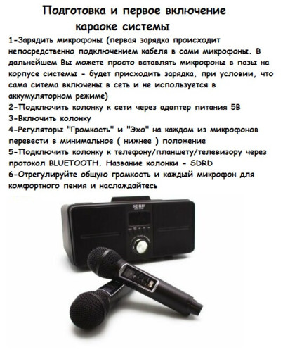 SDRD SD-309 караоке система bluetooth с беспроводными перезаряжаемыми микрофонами / колонка + 2 микрофона
