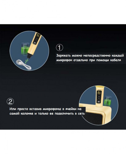 SDRD SD-309 караоке система bluetooth с беспроводными перезаряжаемыми микрофонами / колонка + 2 микрофона