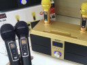 SDRD SD-309 караоке система bluetooth с беспроводными перезаряжаемыми микрофонами / колонка + 2 микрофона