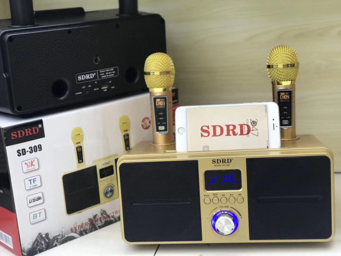 SDRD SD-309 караоке система bluetooth с беспроводными перезаряжаемыми микрофонами / колонка + 2 микрофона