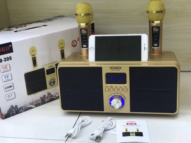 SDRD SD-309 караоке система bluetooth с беспроводными перезаряжаемыми микрофонами / колонка + 2 микрофона