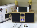 SDRD SD-309 караоке система bluetooth с беспроводными перезаряжаемыми микрофонами / колонка + 2 микрофона