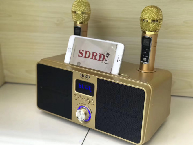 SDRD SD-309 караоке система bluetooth с беспроводными перезаряжаемыми микрофонами / колонка + 2 микрофона