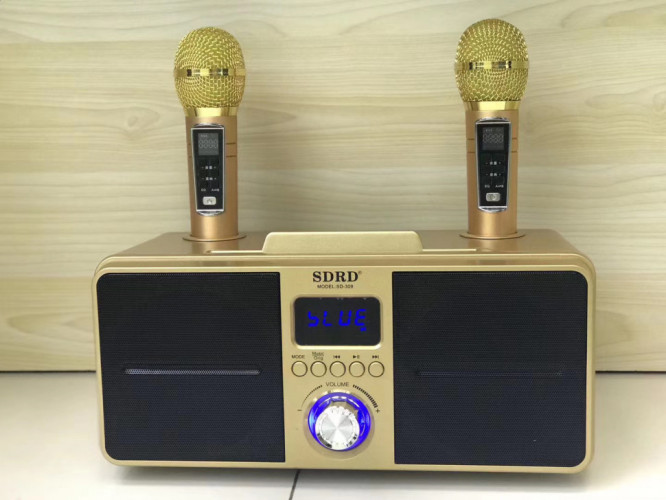 SDRD SD-309 караоке система bluetooth с беспроводными перезаряжаемыми микрофонами / колонка + 2 микрофона