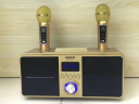 SDRD SD-309 караоке система bluetooth с беспроводными перезаряжаемыми микрофонами / колонка + 2 микрофона