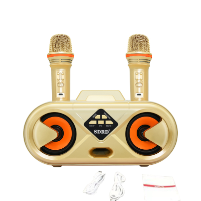 Беспроводная караоке система SDRD SD-303 / bluetooth караоке колонка с 2-мя беспроводными микрофонами