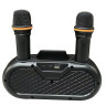 Беспроводная караоке система SDRD SD-303 / bluetooth караоке колонка с 2-мя беспроводными микрофонами