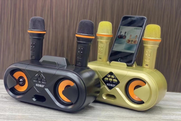 Беспроводная караоке система SDRD SD-303 / bluetooth караоке колонка с 2-мя беспроводными микрофонами