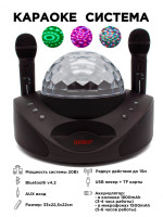 Беспроводная караоке система SDRD SD-308 со светомузыкой / колонка с двумя микрофонами и дискошаром