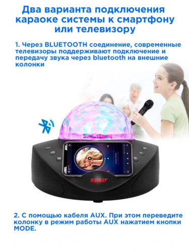 Беспроводная караоке система SDRD SD-308 со светомузыкой / колонка с двумя микрофонами и дискошаром